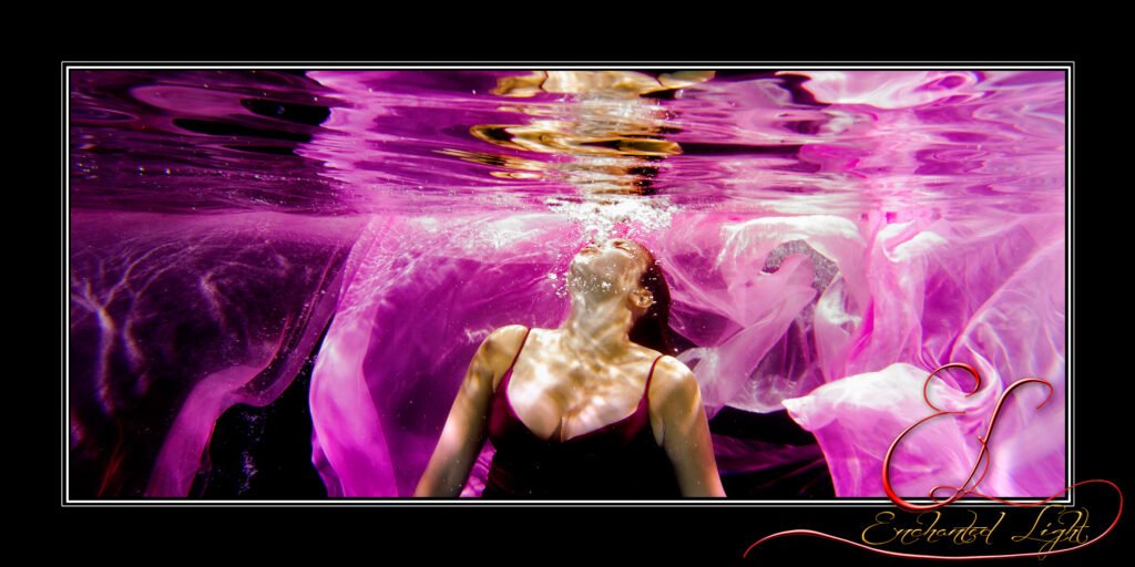 Gallery Title Here